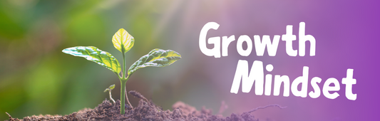 Growth Mindset Infographic
