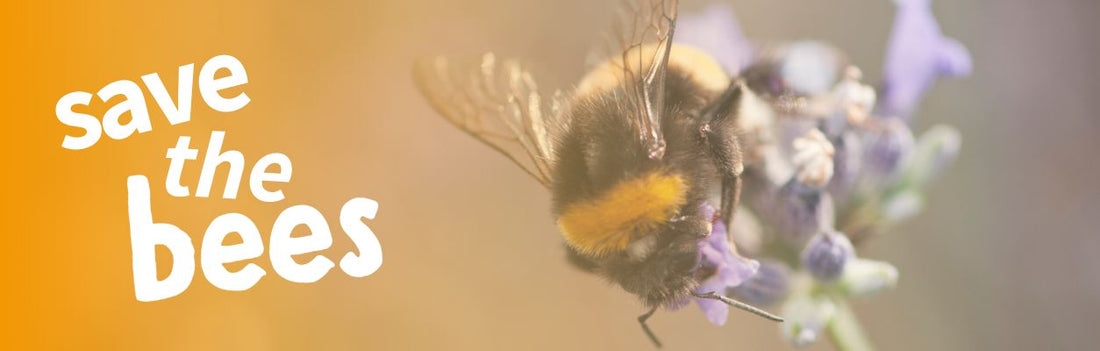Save the Bees