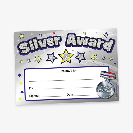 A5-sized holographic silver award certificate featuring a bold 'Silver Award' title with a glittery effect, a silver medal illustration in the bottom right corner and star emblems. Designated spaces for recipient's name, reason for the award, signature, and date.