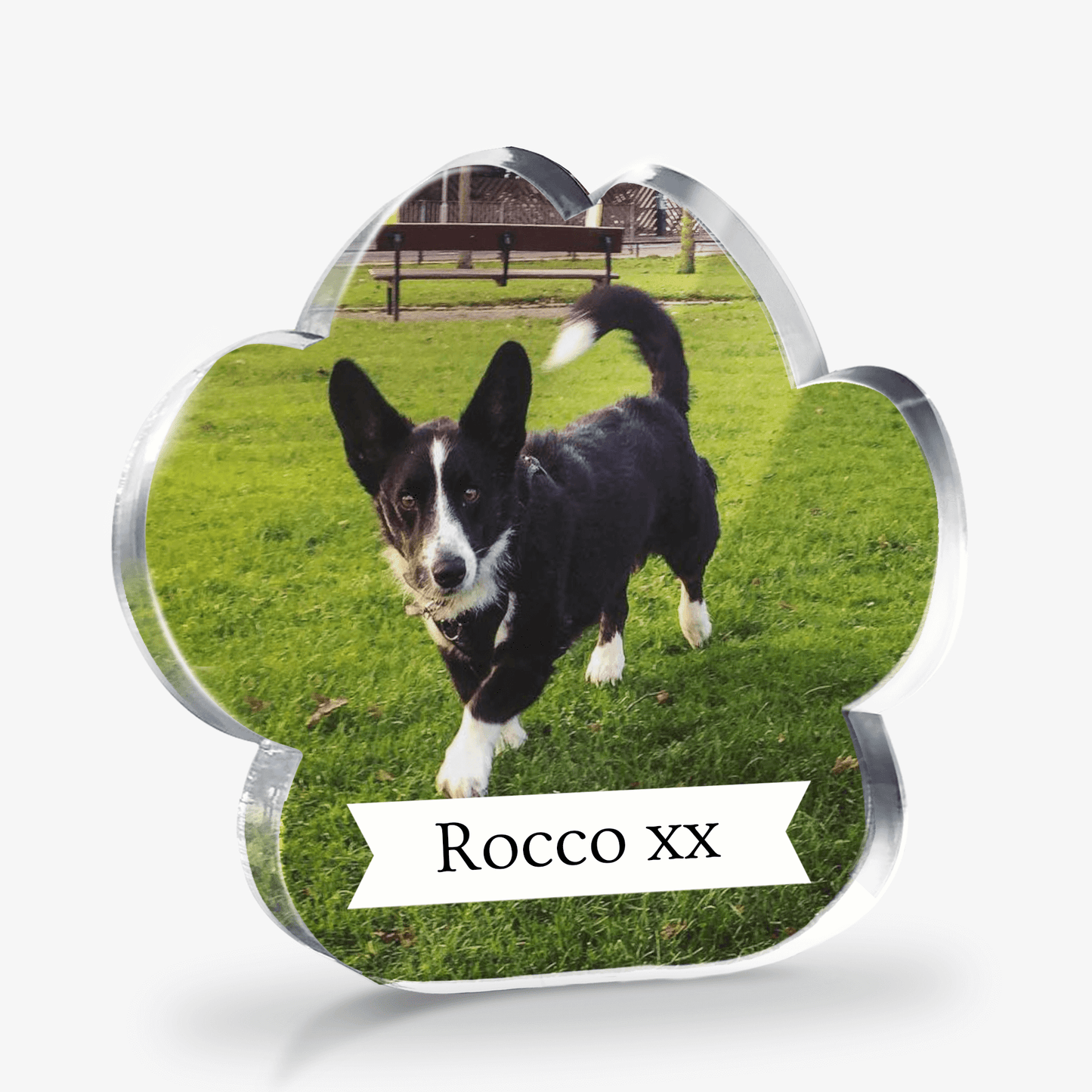 Paw-shaped Acrylc Block with a picture of a dog named Rocco on a grassy field.