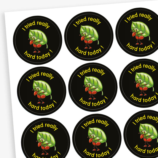 A sheet of circular black reward stickers featuring a green leaf with red berries in the centre. Surrounding the image is the phrase 'I tried really hard today!' written in bright yellow text.