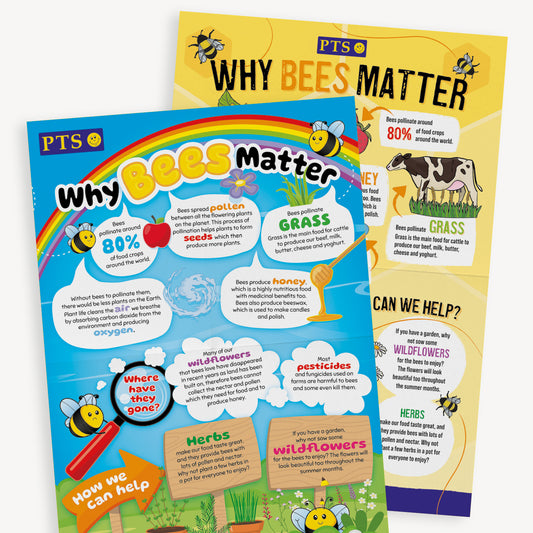 A yellow and a blue A2 poster giving facts about 'Why Bees Matter' with cartoon bees and a rainbow on the blue side of the poster.