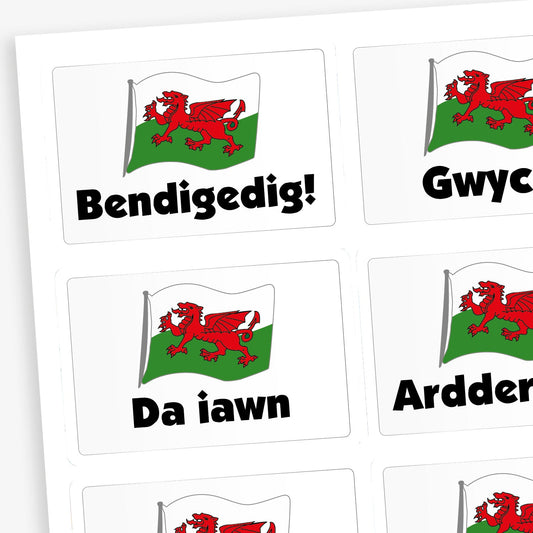 A sheet of rectangular reward stickers featuring the Welsh flag with a red dragon and positive Welsh words underneath. Phrases include 'Bendigedig!', 'Gwych', 'Da iawn', and 'Ardderchog'  all in bold black text.