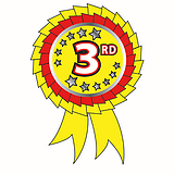 25 Metallic 3rd Place Stickers  - 54 x 37mm