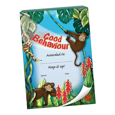 Good Behaviour Monkey Praisepad - 60 Pages - A6