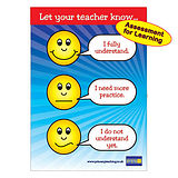 Expressions for Understanding Plastic Poster  (A1 Sized)