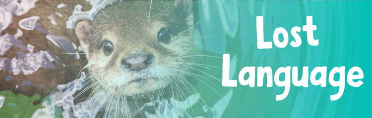 Lost Language | Nature Classroom Activities | Literacy