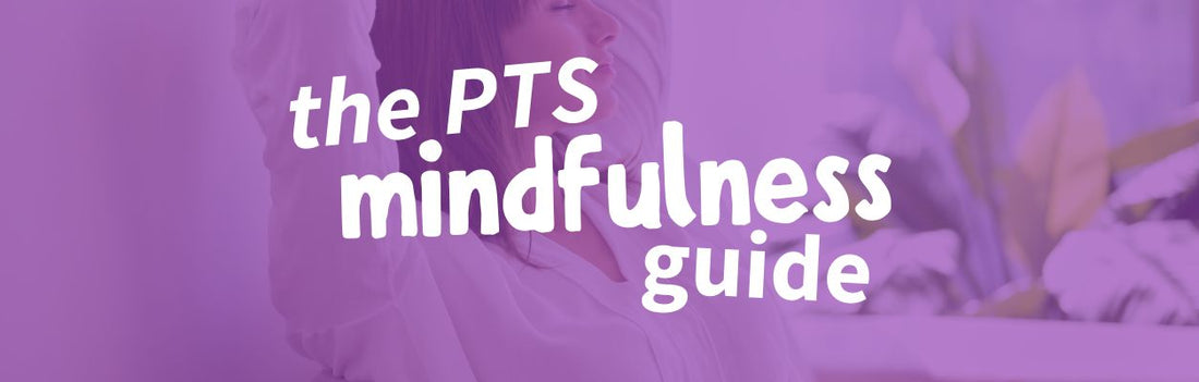 The PTS Mindfulness Guide