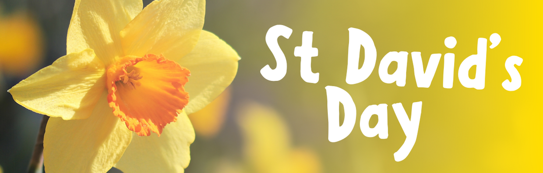 St David's Day