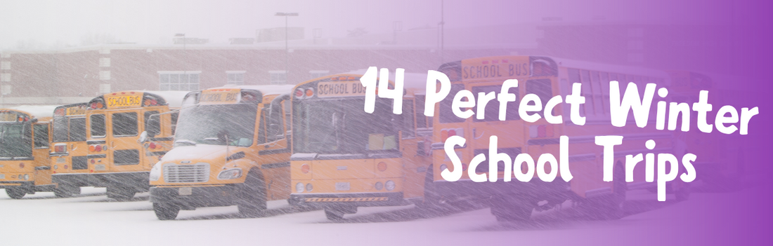 14 Perfect Winter School Trips
