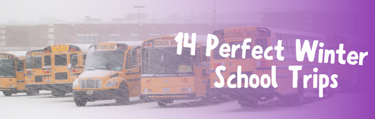 14 Perfect Winter School Trips