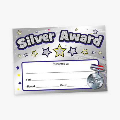 A5-sized holographic silver award certificate featuring a bold 'Silver Award' title with a glittery effect, a silver medal illustration in the bottom right corner and star emblems. Designated spaces for recipient's name, reason for the award, signature, and date.