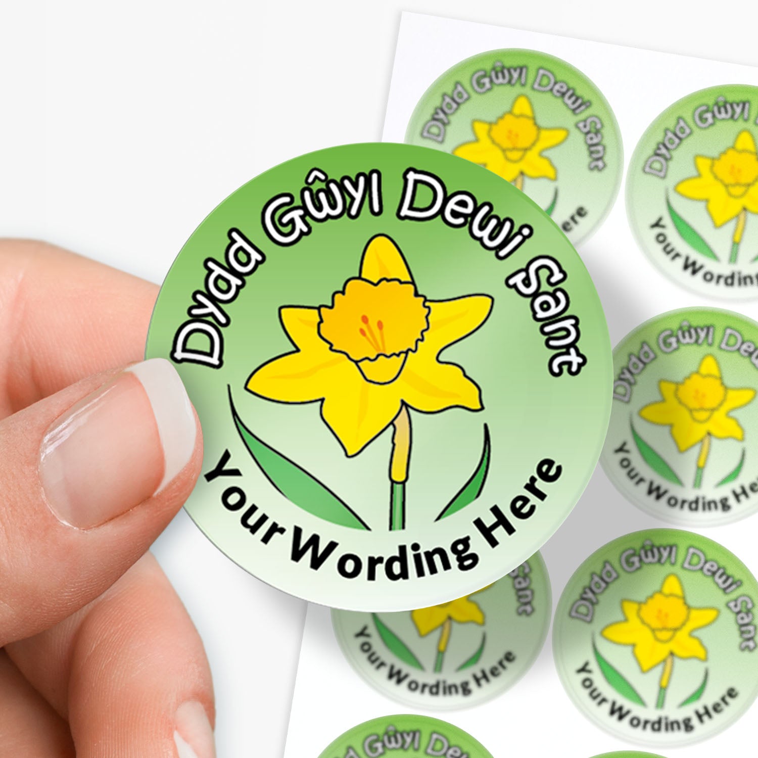 Round green sticker with yellow daffodil and text 'Dydd Gŵyl Dewi Sant' held by a hand.