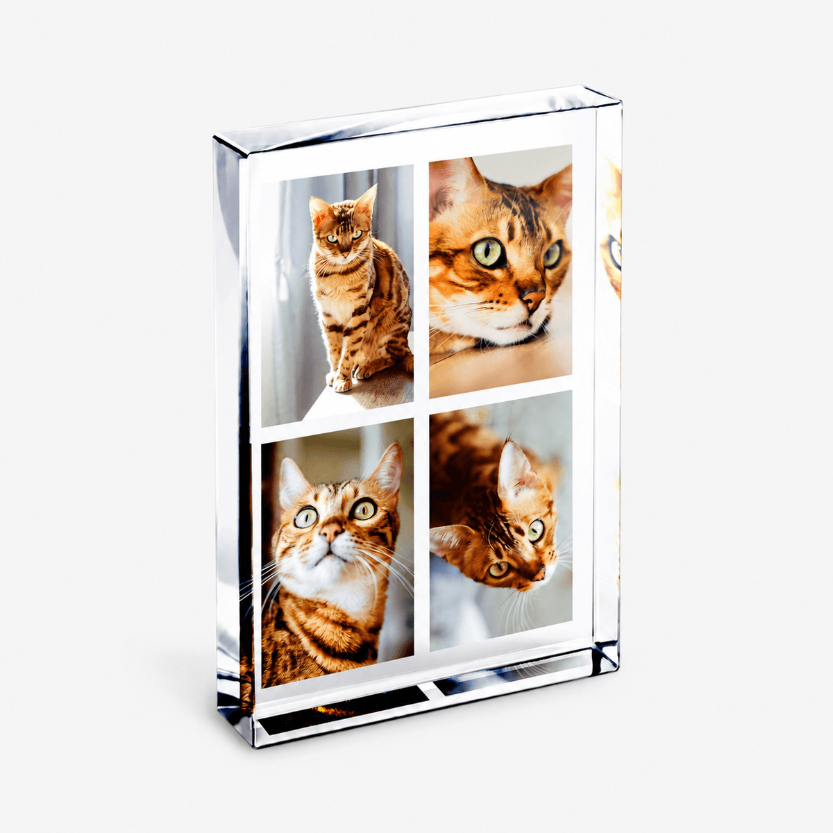 A clear acrylic photo block displaying four different photographs of a tabby cat.