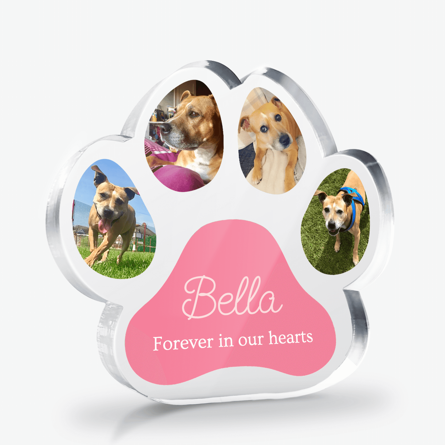 Paw-shaped Acyrlic Block with four pet photos and 'Bella Forever in our hearts' text on a white background