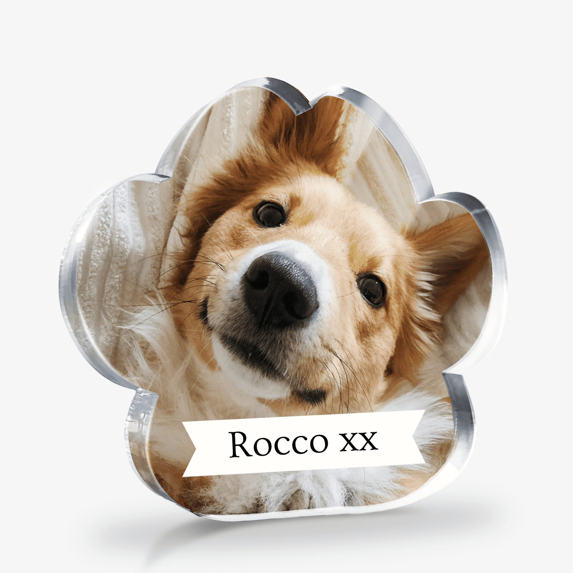 Paw Shaped Paw Block with a dog's face and 'Rocco XX' text on a white background