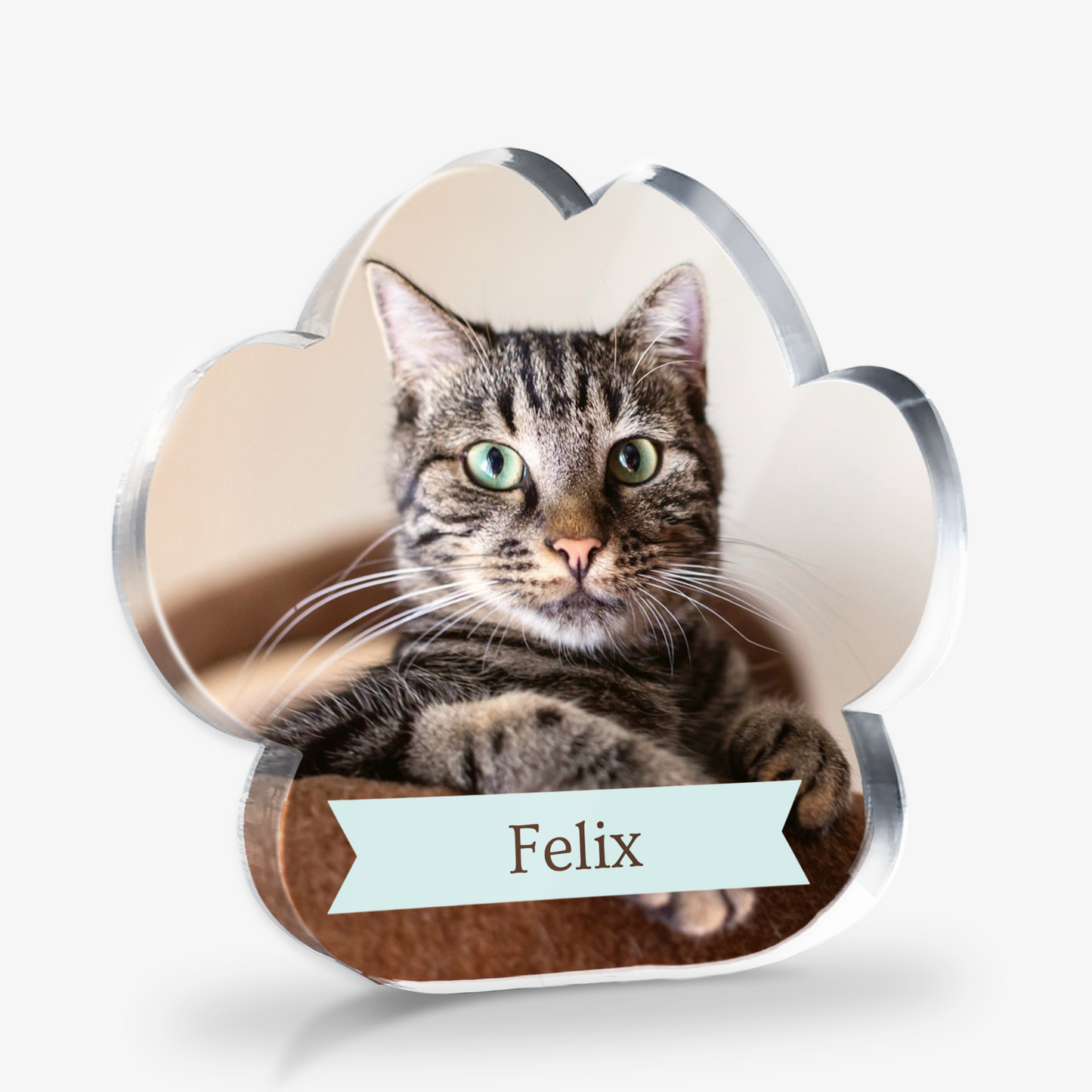 Freestanding Acrylic Paw with a cat named Felix on a white background