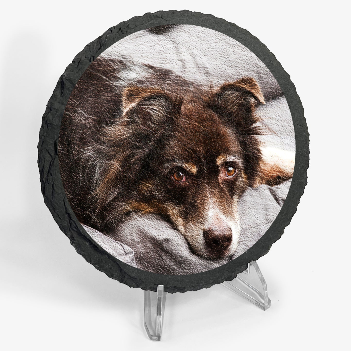 Circular natural slate coaster sat upon an acrylic easel stand, featuring a digitally printed photo of a dog.