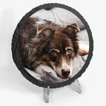 Circular natural slate coaster sat upon an acrylic easel stand, featuring a digitally printed photo of a dog.