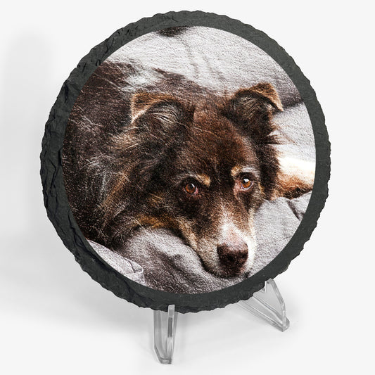 Circular natural slate coaster sat upon an acrylic easel stand, featuring a digitally printed photo of a dog.