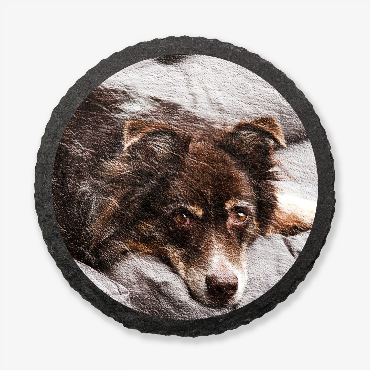 Circular natural slate coaster featuring a digitally printed photo of a dog.