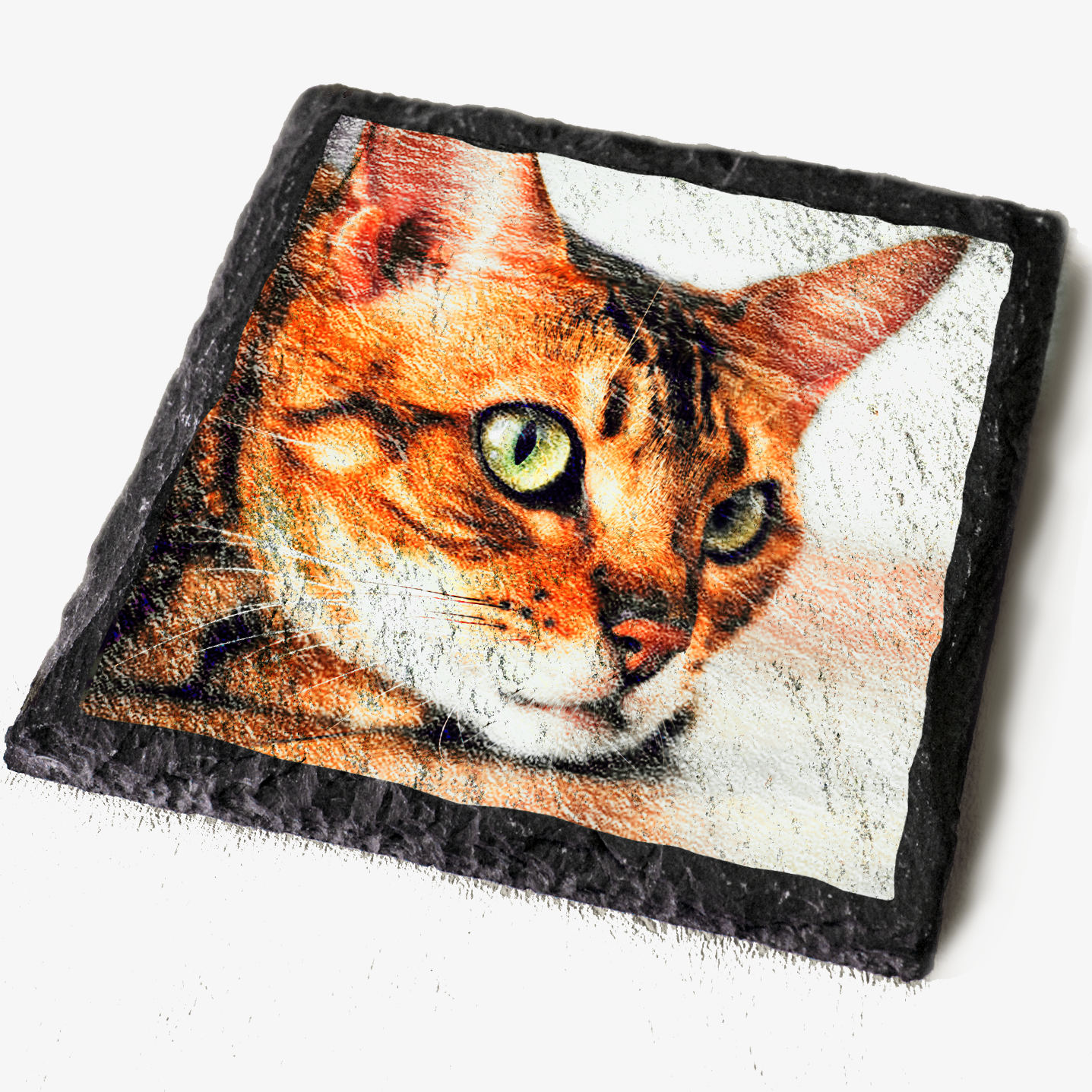 Square slate coaster with a photo of a cat printed on.