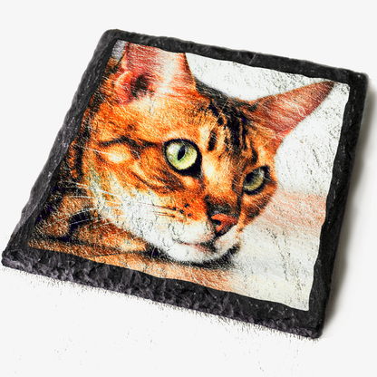 Square slate coaster with a photo of a cat printed on.