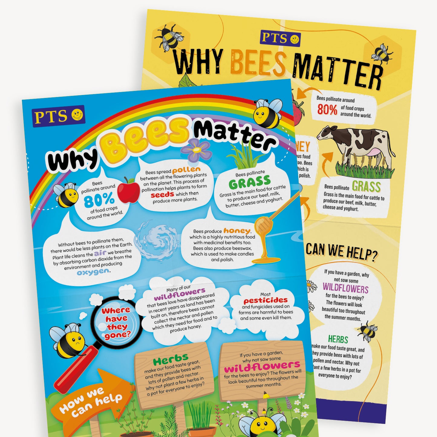 A yellow and a blue A2 poster giving facts about 'Why Bees Matter' with cartoon bees and a rainbow on the blue side of the poster.