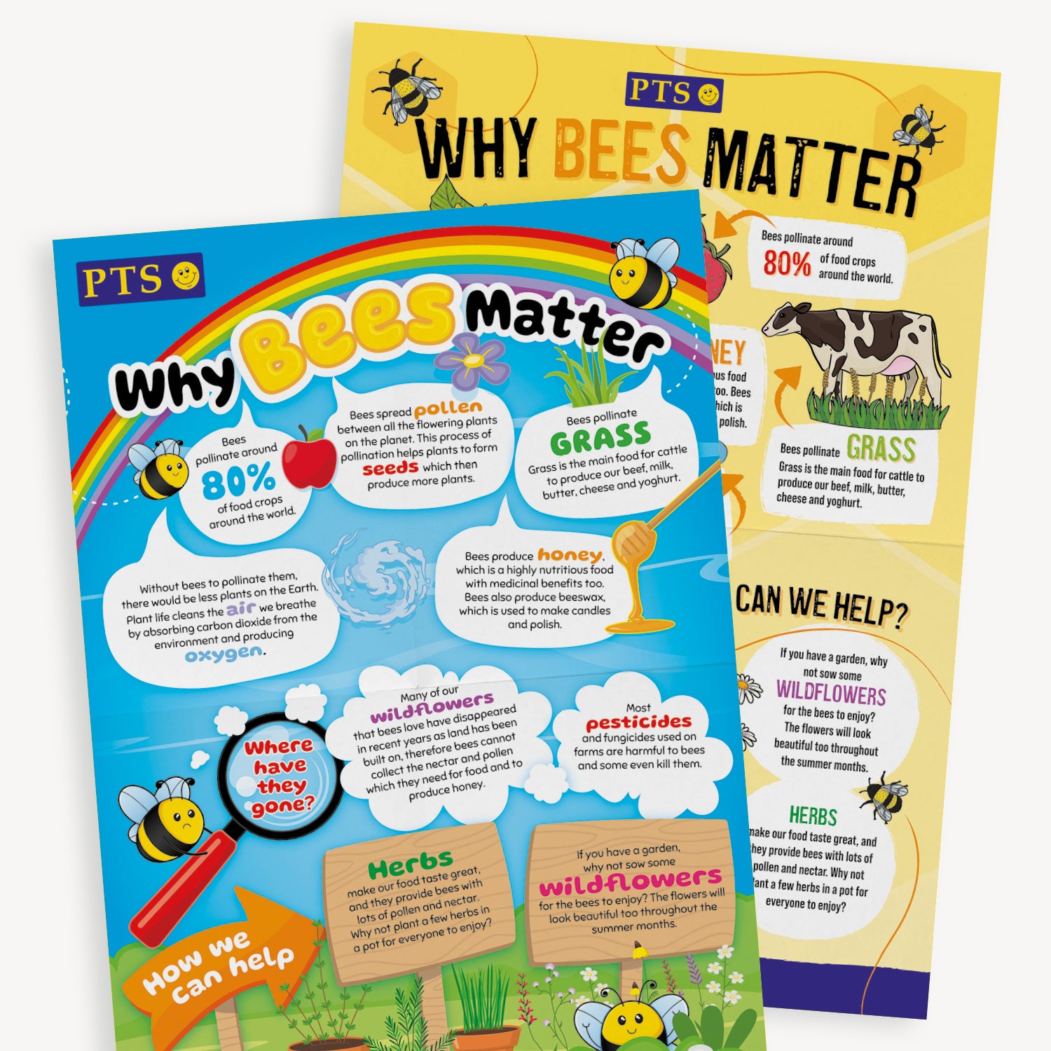 A yellow and a blue A2 poster giving facts about 'Why Bees Matter' with cartoon bees and a rainbow on the blue side of the poster.