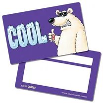 Cool Polar Bear CertifiCARDS (10 Cards - 86mm x 54mm)