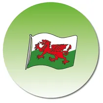 Personalised Welsh Flag Stickers (35 per sheet - 37mm)