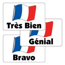 French Flag Stickers - Mixed Wording (32 per sheet - 46mm x 30mm)