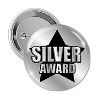 10 Silver Award Badges - 38mm