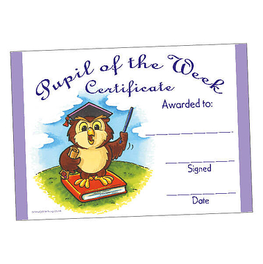 20 Pupil of the Week Owl Certificates - A5