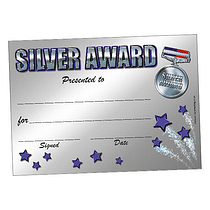 20 Silver Award Certificates - A5