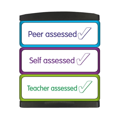 3 Teacher Peer Self Assessed Stakz Stampers - 44 x 13mm