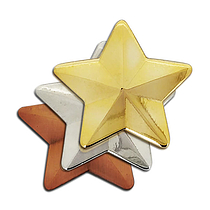 3D Metal Star Badge (3 Colour options)