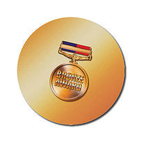 70 Personalised Bronze Award Medal Stickers - 25mm