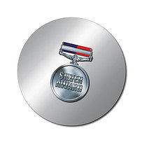 70 Personalised Silver Award Medal Stickers - 25mm