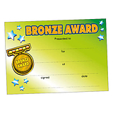 Bronze Award Certificates - Green (20 Certificates - A5) Brainwaves