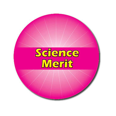 Personalised Science Merit Stickers - Pink (70 per sheet - 25mm)