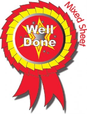 Metallic Well Done Rosette Stickers (25 Stickers - 54mm x 37mm)