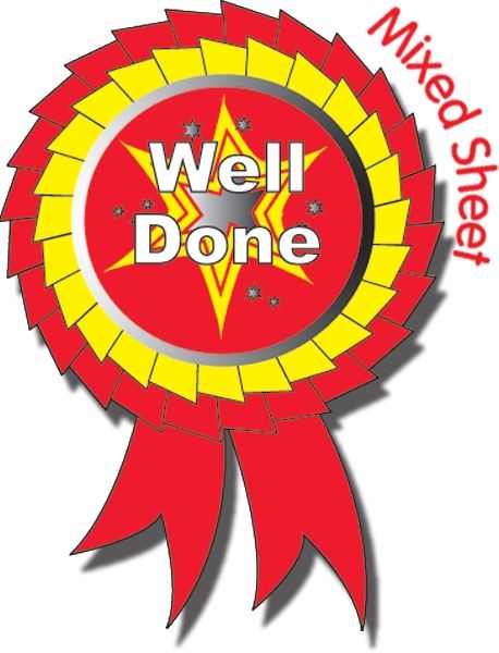 FREE POSTAGE Well Done Peach 1 Tier Details about   Well Done Rosettes 