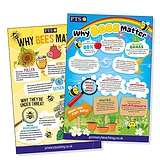 Why Bees Matter Poster (A2 - 620mm x 420mm)