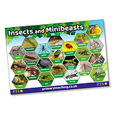 Insects & Minibeasts Poster (A2 - 620mm x 420mm)