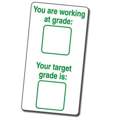 Target Grade Stamper - Green Ink (42mm x 22mm)