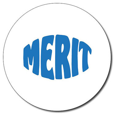 Personalised Merit Stamper - Blue (25mm)