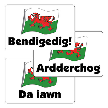 Welsh Wording Stickers - Flag (32 Stickers - 46mm x 30mm)