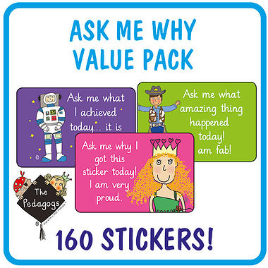  Ask Me Why Stickers by Pedagogs (46mm x 30mm) 160 in a pack