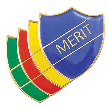 Enamel Merit Shield Badge - 30 x 26mm